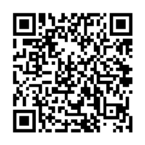 我甚至难以相信原来在阴间公寓的内部是这样的广阔无边二维码生成