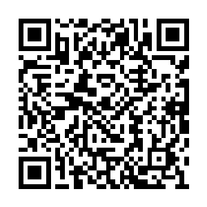 我用的不是你给我的那个纵横之法上记载的法术二维码生成