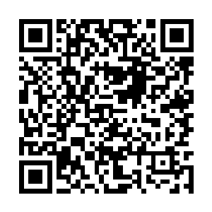 我的一些小手段和小把戏根本就起不到任何的作用二维码生成