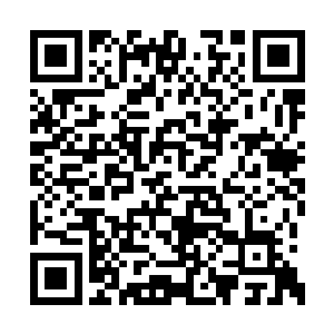 我的人千辛万苦从那艘邮轮上找到了当年的监控二维码生成