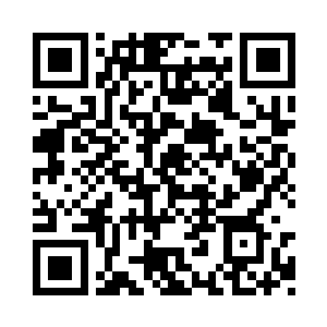 我的儿子总能够做出一些出人意料的事情出来二维码生成