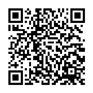 我的决定就由方寸公司的运营总监莫大伟莫胖子来告诉大家吧二维码生成