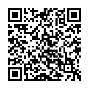 我的嘴角勾起了一点从他身上染来的温暖的弧度二维码生成