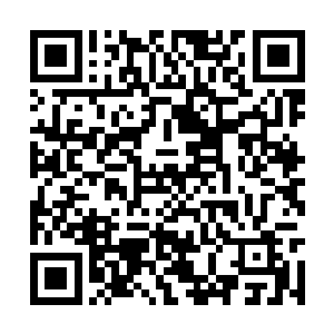 我的处境是很艰难我现在只是你们将家的一条忠狗二维码生成