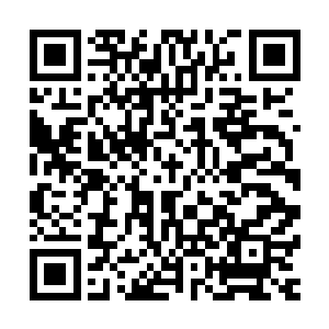 我的太太太爷爷当初也跟着那位强大的存在一起进入了星空里二维码生成