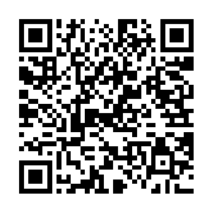 我的孩子就再也没有办法成为史上最强大的一条神龙了二维码生成