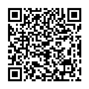 我的实力尚且不足……目前来讲……应该还不是蛟的对手二维码生成