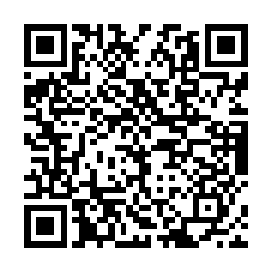 我的性格模组进化度极有可能是整个惊悚乐园中最高的二维码生成