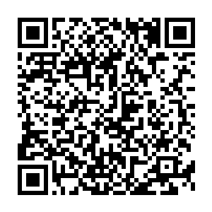 我的想法是县招待所这个口岸和后边农机厂的土地这样荒着太可惜了二维码生成