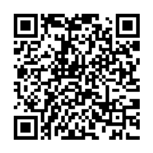 我的意见是以后每次常委会尽可能的还是要让人到齐二维码生成