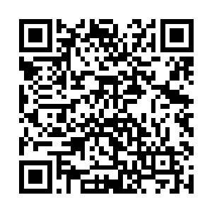 我的感情在彷徨了那么久之后终于确定了最终的归属二维码生成