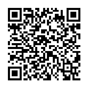 我的手下上次足足被他折磨了三天三夜才杀死的二维码生成