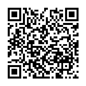 我的枫林集团提供了你们公司这么多的比赛用场地二维码生成