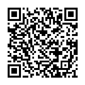 我的法器都损坏了所以一路上我才会这么的狼狈二维码生成