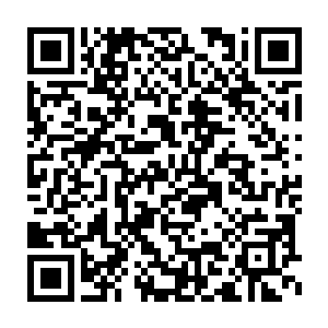 我的混沌之力已经达到第一层巅峰只要找个时间闭关便可突破至第二层二维码生成