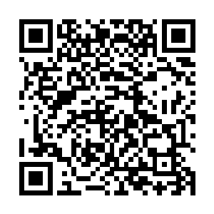 我的父亲不是去世了怎么会牵起我的手……这么一琢磨二维码生成