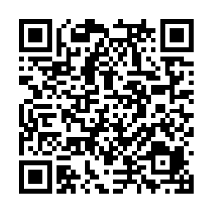 我的目光已经放到了坐在最奢华位置中央的中年女二维码生成