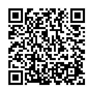 我的眼角已经看到大门的两边站着不止两个护卫二维码生成