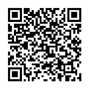 我的第一个条件只是想保持女人自我的一种尊严和矜持二维码生成