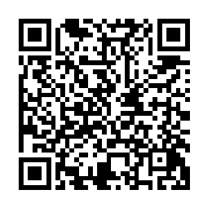 我的组织也是继承了上古猩红弧月组织一部分学术观点的分支二维码生成