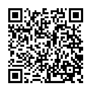 我的终极目标是我存在的记忆和意识不会被抹去二维码生成