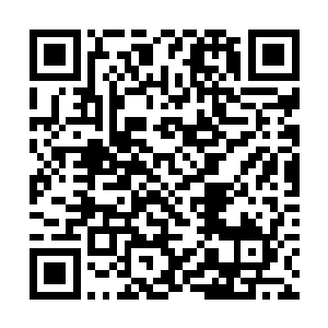 我的肉身也已经在进化中消失转变成了能量化的存在二维码生成