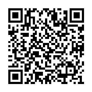 我的能力根本就不支持我还留在这个位置上面了二维码生成