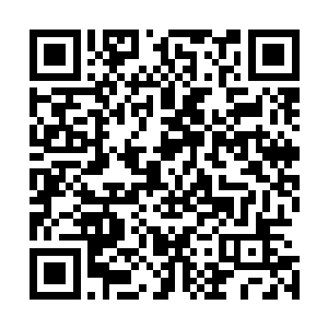 我的记得没错的话张杰的能力好像是暗示之眼和念动力来着二维码生成