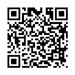 我的身份就是没有代理费的代理人二维码生成