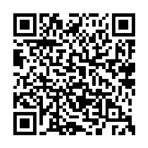 我的身体内的潜力值能转化成生命力融入血液吗二维码生成