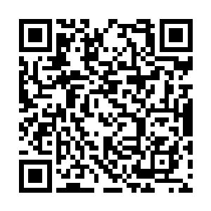 我的还是我的……所以这团炎火本源转卖下家的事二维码生成