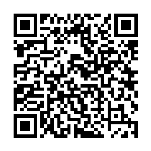 我的骨骼被无处不在的力量炼化得发出了轻微的响声二维码生成