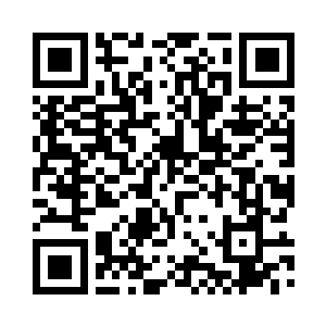 我相信作为龙巫妖的你也是懂规矩的二维码生成