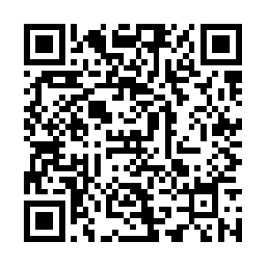 我相信你也知道我们市委为什么要派督查组下去吧二维码生成