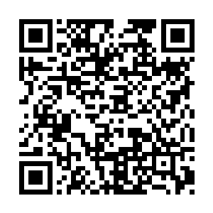 我相信她会毫不犹豫的将你们要找的东西交出来二维码生成