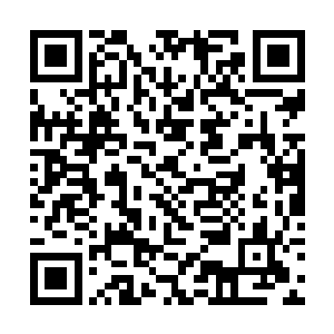 我相信对于我和卫正冬之间的恩怨也应该清楚一些吧二维码生成