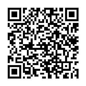 我相信少主一定可以成为青山书院一颗璀璨的明星二维码生成