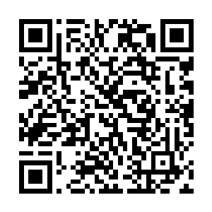 我相信山德长老会用自己的表现给大家一个有力的回答二维码生成