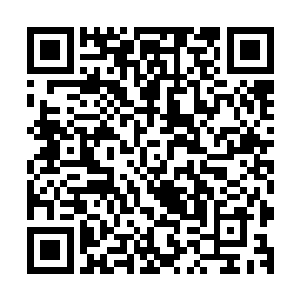 我相信很快这两样东西就不会是北极圈附近原生生物的危胁了二维码生成