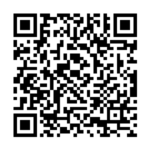 我相信我们泽格族一定会第一个找到那个五律上尊的二维码生成