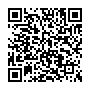 我相信无二道人他们就是朝着远处那座火山而去二维码生成