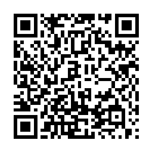 我相信无数男人都愿意给你送上无数的财富和权利二维码生成