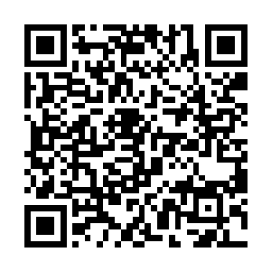 我相信白角族在你的带领下一定可以恢复往日的辉煌二维码生成