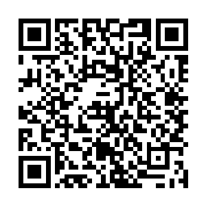 我相信蒋大为老师一定会拜抓住这次千载难逢的机会的二维码生成