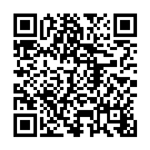 我看了一眼扎得我浑身都是的结晶又开始往我身上绽放开花二维码生成