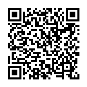 我看以后我们也有必要学习一个心灵沟通的术法二维码生成