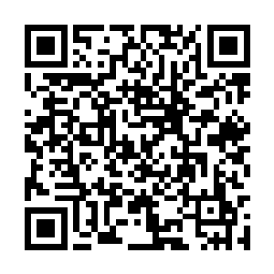 我看你们综合服务台上的小姑娘工作态度很不错啊二维码生成