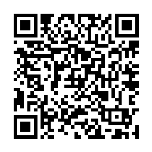 我看你刚才在螃蟹和海带的家人面前说的很带劲嘛二维码生成