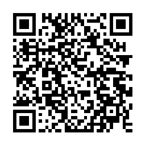 我看你和叶尊之间的恩恩怨怨还是回山之后你们在自行解决吧二维码生成