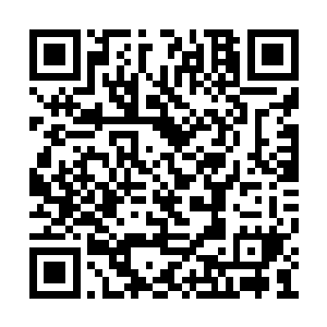 我看你用纱堆的花儿就比你大姐姐她们做的好看二维码生成